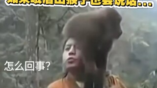 人 机