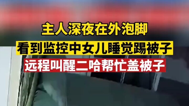 Late at night, the owner was soaking his feet outside and saw on the surveillance footage that his d