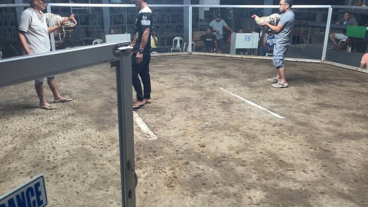 White General ni jake kill dat bird @nato 4/04/2026