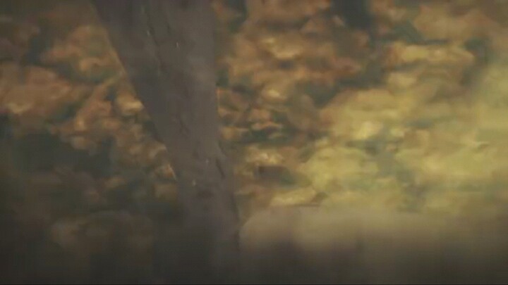 Violet Evergreen Episode 1 Sub Indonesia