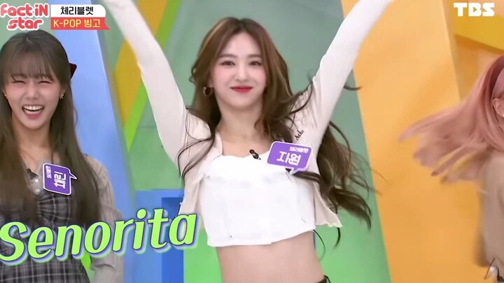 Cherry Bullet - Ji Won - Clip biên tập nhiều đoạn nhảy COVER