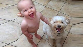 Little Babies Love Puppies มาก 😍 Babies and Puppies Compilation