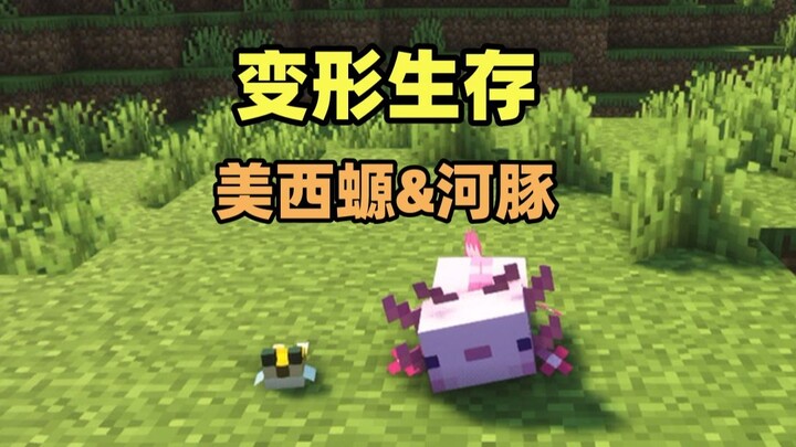 How to Survive as a "Salamander" and a "Pufferfish"!