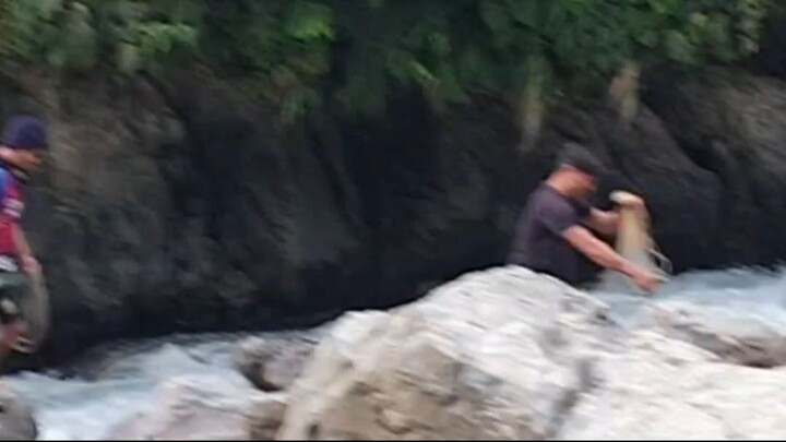 cast net fishing in Nepal | himalayan trout fishing with handmade cast net |