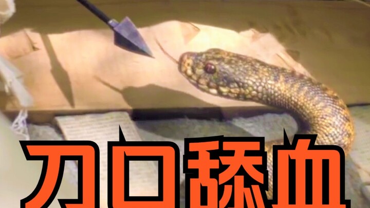 The Animal World Meets BLEACH!