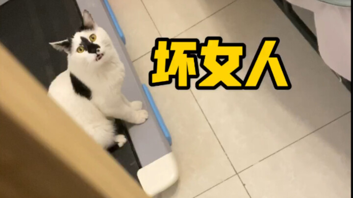 Wanita jahat dengan kejam menolak si kucing kecil