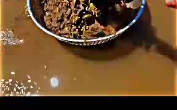 Ini lagi nggali emas apa emasnya jatuh ke sungai?