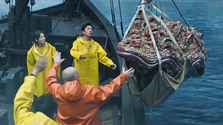 渔民在海中打捞出千年巨蚌