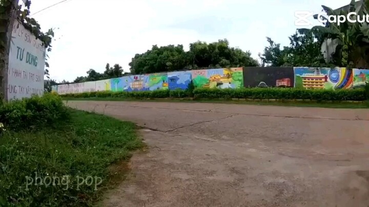 Beo trở Tang