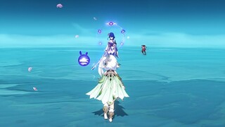 1HP NAHIDA & BEIDOU VS RAIDEN SHOGUN