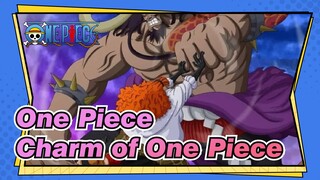 [One Piece] Feel the Charm of One Piece