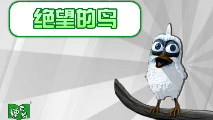 [Meme Encyclopedia] What is the meme of Desperate Bird?