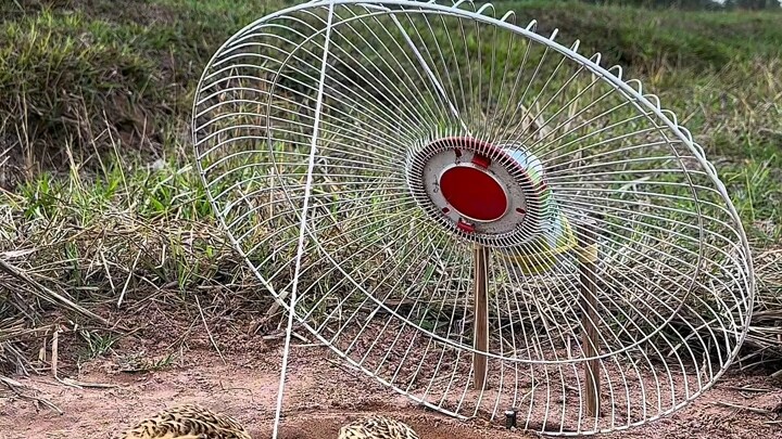 [World Curiosities Commentary] Updated! Come check it out now!