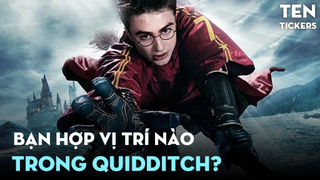 QUIDDITCH Có Dễ Chơi Như Bạn Nghĩ ?! | Lịch Sử Hình Thành - Vị Trí Chiến Thuật | Ten Tickers