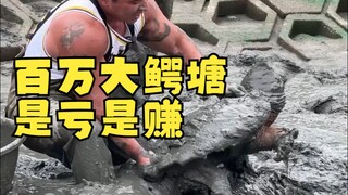 盘下百万大鳄龟塘！是亏还是赚?