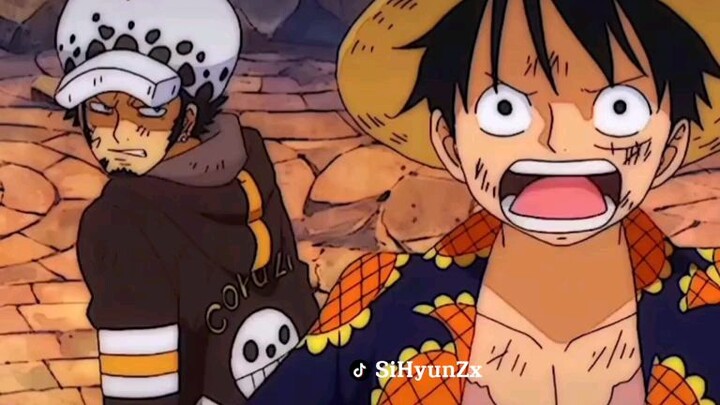 Luffy và Law