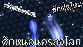 ศึกหนอนครองโลก | Slither.io