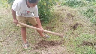 Pagtatanim ng mais with my sister