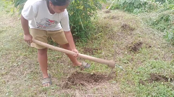 Pagtatanim ng mais with my sister