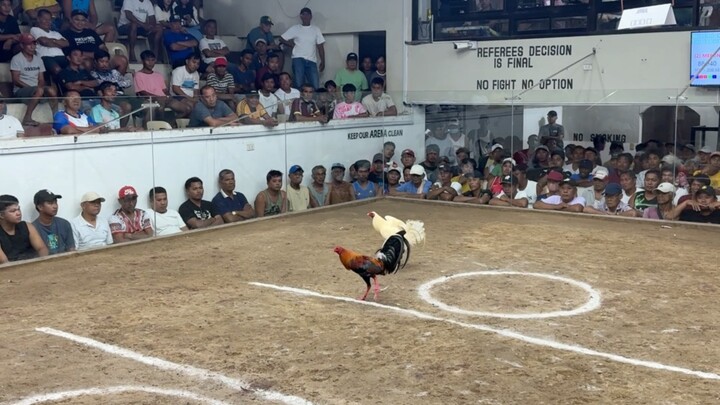 PCC 2nd Circuit Derby @ SOLANA SPORTS AND AMUSEMENT CENTER - WLW