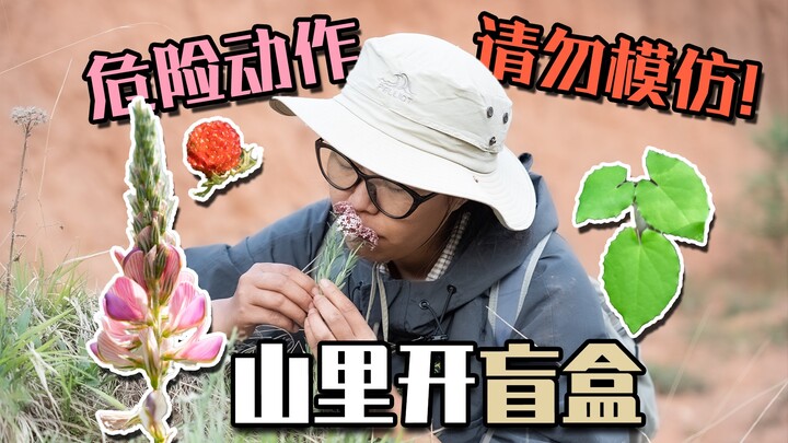 อย่าให้รูปร่างหน้าตาของพืชหลอกคุณเด็ดขาด!!!