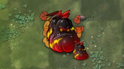 พืชผสมผสาน 374: ฟักทองระเบิด!