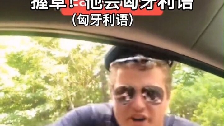 So, how many languages do you actually need to know to slip past the traffic cops?