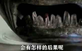 Bất kỳ cổ vật nào cũng sẽ bị đưa ra trước pháp luật!!!