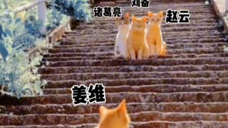 “ทำไมภาระอันยิ่งใหญ่ในการฟื้นฟูราชวงศ์ฮั่นจึงตกมาอยู่ที่คนที่ไม่เคยพบเห็นเล่าปี่เลย!”