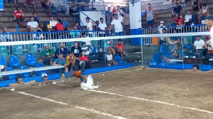 sandugo jrf taal