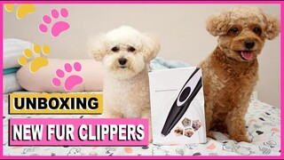 UNBOXING MY DOGS' NEW GROOMING CLIPPERS| THE POODLE MOM