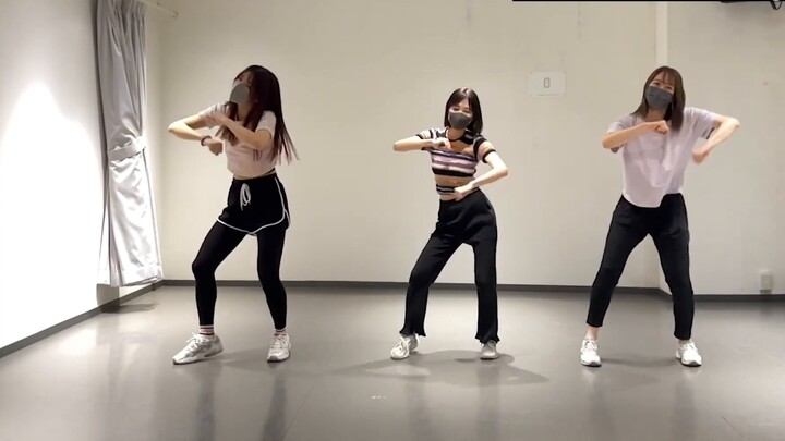 【B Komachi】「サインはB」【Dance Video】