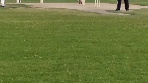 #cricket @cricket