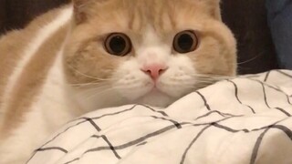 《Bài tập trước khi đi ngủ》 :)