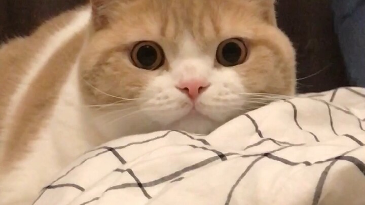 《睡前运动》:)