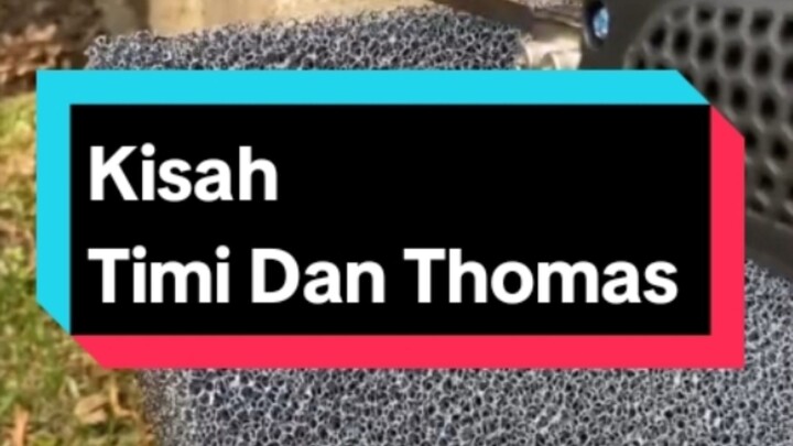 Kisah Timi Dan Thomas #satisfying #videosatisfying #satisfyingvideo