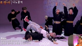 【零下中字】据说是韩国仅存的最后一只老虎 | Hoshi - Tiger 纳米分析