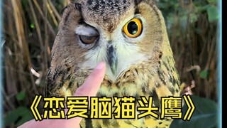 Cứu được cú mèo thì đừng vội xúc động sớm, nó bắt chuột tặng bạn không phải là báo ơn, mà là coi bạn