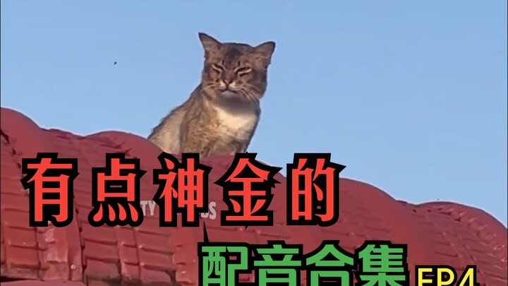 好笑的动物配音合集EP4