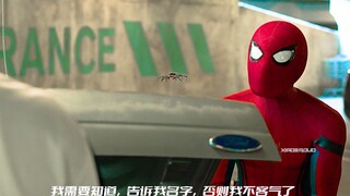 “你会下蛋吗？你会吐毒液吗”小蜘蛛的搞笑瞬间！
