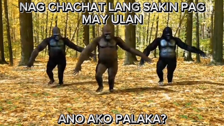 Ginawa ba naman akong PALAKA 🐸