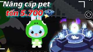 PLAY TOGETHER | ĐẦU TƯ 5.700 ĐÁ QUÝ NÂNG CẤP PET SIÊU SỊN VÀ CÁI KẾT BẤT NGỜ