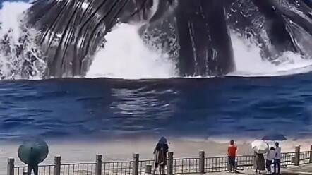 Những điều này không vi phạm pháp luật tại Nhật Bản