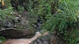 a river in the village