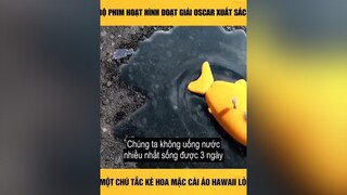 phim hay mỗi ngàyphimhay phimhaymoinhat hottiktok7_xuhuong😍😍 xuhuong giaitriviet24h hottrendtiktok2021