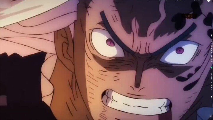 Zoro: Without my green hair, my appearance is completely ruined #Empress#Robin#Reijiu#Empress Hancoc