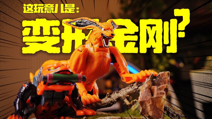 双厨狂惊？！这也行！变形金刚联名火影忍者这样！【CHEN天玩事务所】