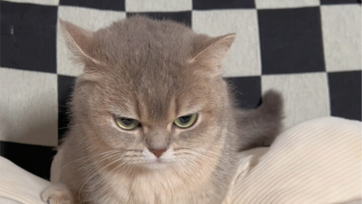 ฉันจะกล้าส่งข้อความหาคุณได้ยังไงล่ะ