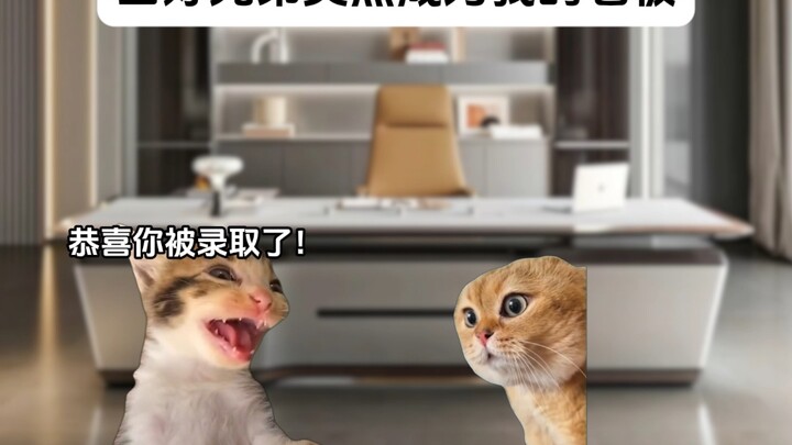 Khi anh bạn thân bỗng nhiên trở thành sếp của tôi