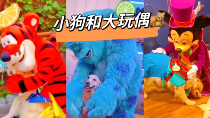 “เมื่อลูกสุนัขได้เจอตัวละครโปรดของตัวเอง…”